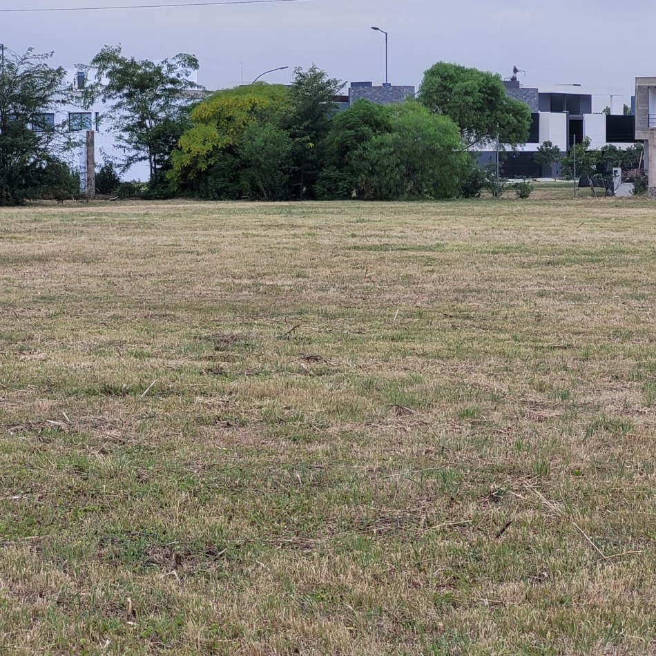 Terreno venta 2has Villa Eucaristica zona Cno San Antonio La Luisita 