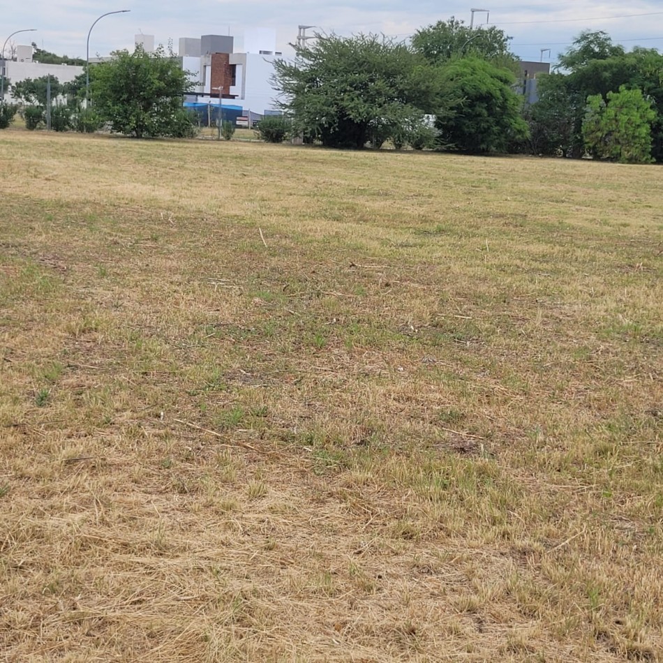 Terreno venta 2has Villa Eucaristica zona Cno San Antonio La Luisita 