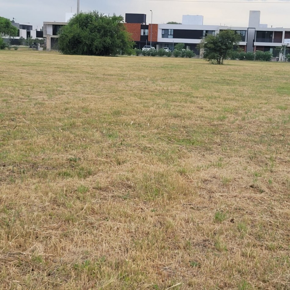 Terreno venta 2has Villa Eucaristica zona Cno San Antonio La Luisita 