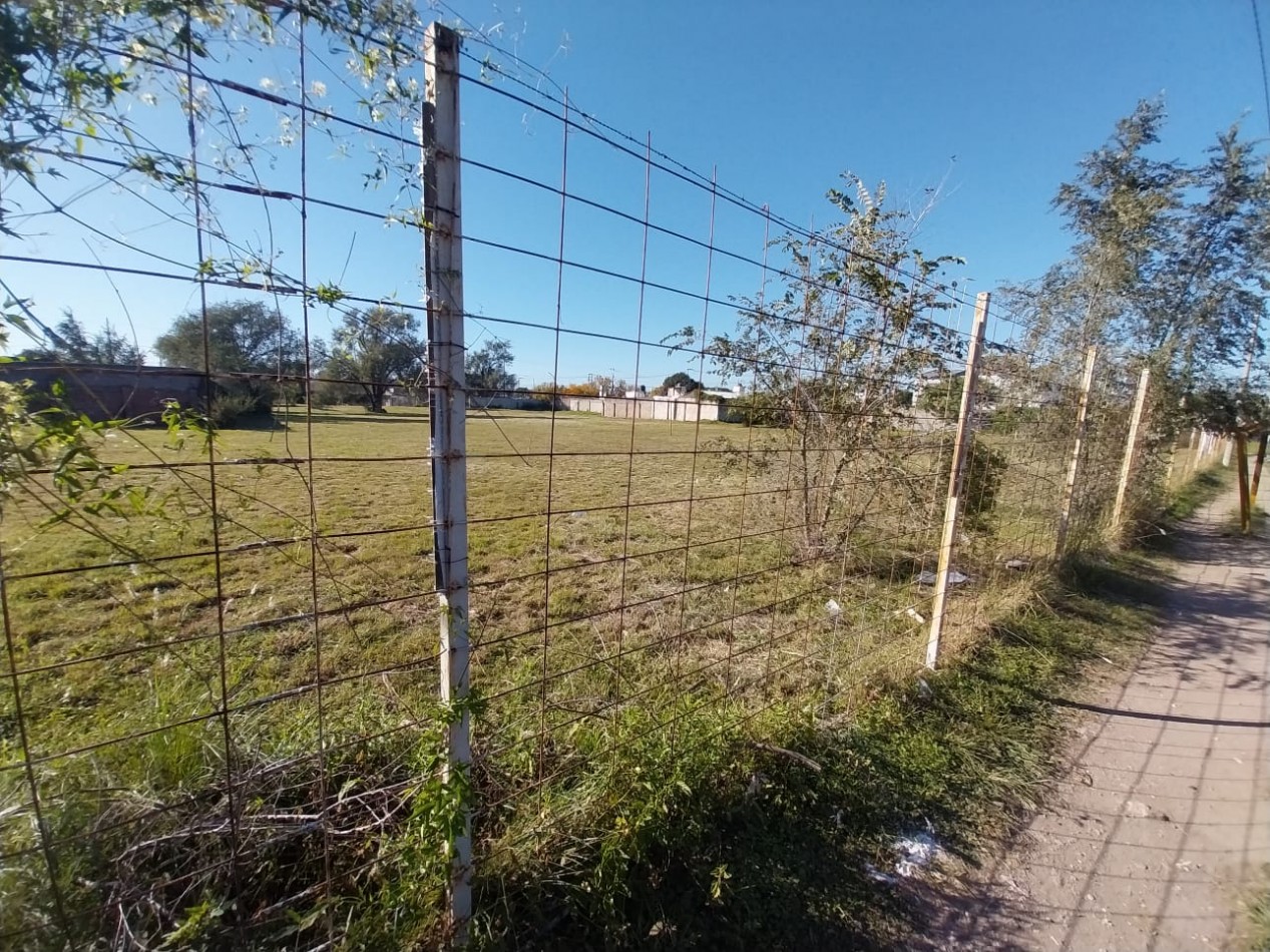 4.900 m2 vendo sobre Pettirossi terreno baldio Villa Aspacia